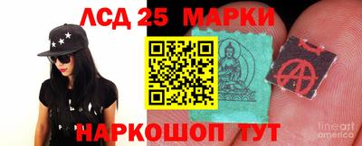 амф Можга